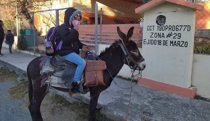 VIRAL |  ENTERNECE FOTO DE NIÑA LLEGANDO A CLASES EN BURRO