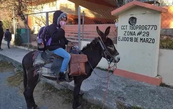 VIRAL |  ENTERNECE FOTO DE NIÑA LLEGANDO A CLASES EN BURRO