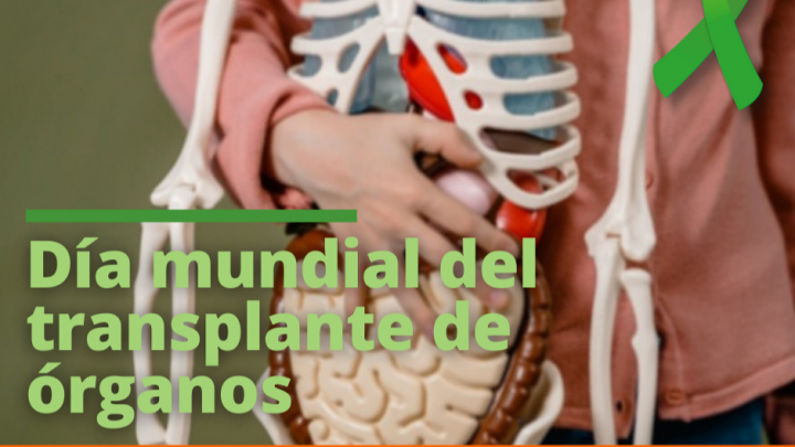 Día Internacional del Transplante