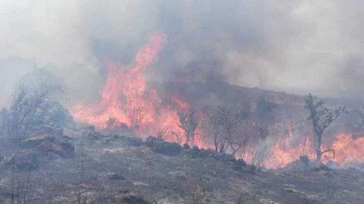 Incendio en biosfera de El Cielo lleva una semana