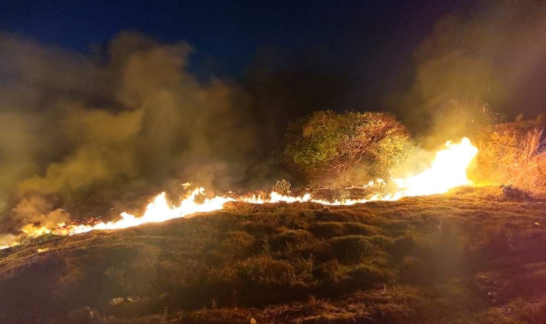 Fuerte incendio de pastizal en  Madero