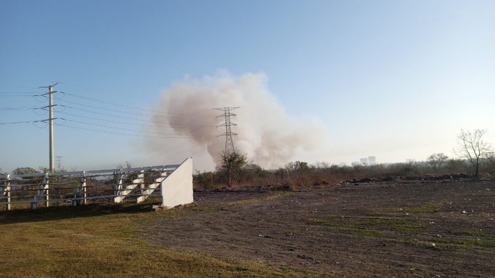 ESTA MAÑANA SÓLO SE VE UNAS FUMAROLAS