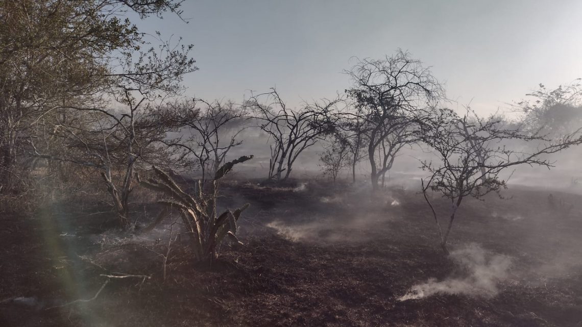 INCENDIO CONSUME 140 HECTÁREAS DE PASTIZALES