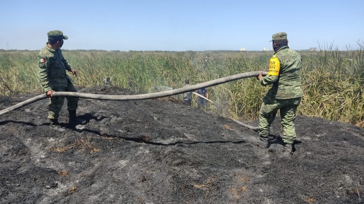 Ejército Mexicano apoyó para controlar el incendio en Madero