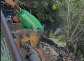 «Yo soy tu rey» le dice un hombre a los cocodrilos mientras los patea en Tampico