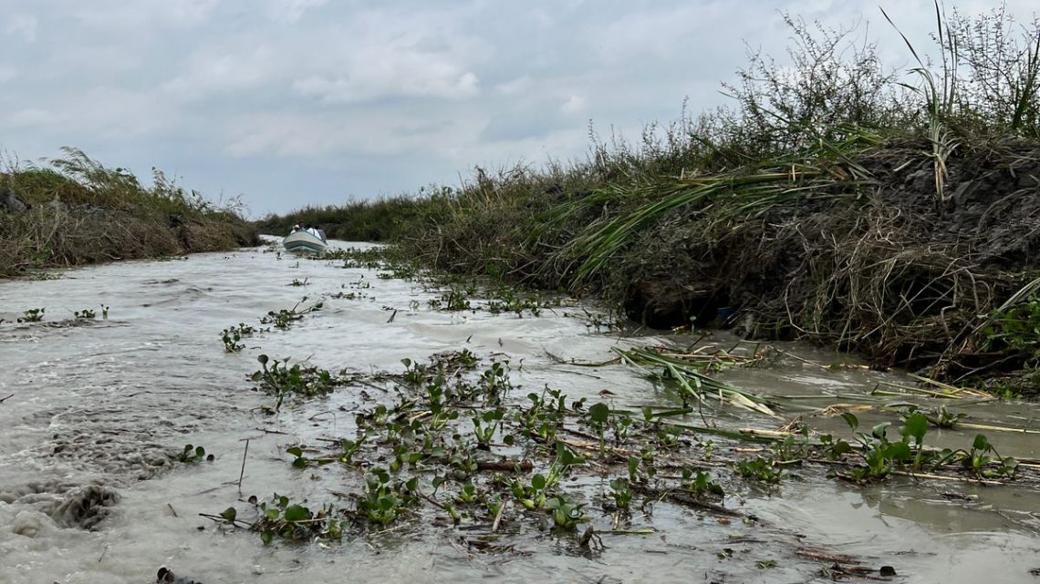 Realiza COMAPA Altamira desazolve del canal El Carrizal