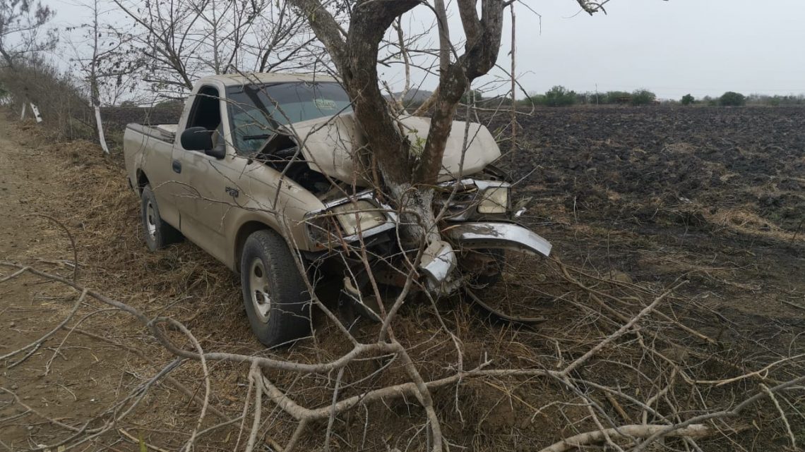 SE LE ATRAVESÓ UN ÁRBOL