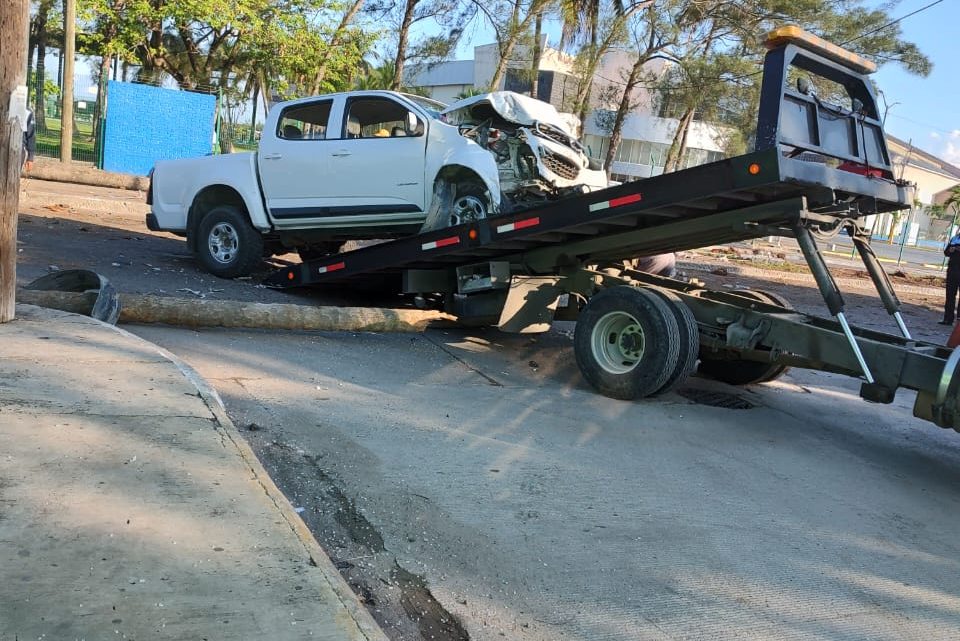 DERRIBA DOS PALMERAS CON SU TROCONA