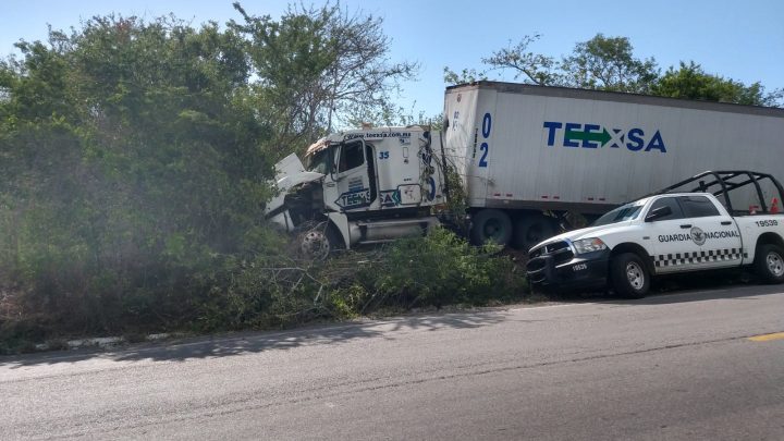 TRÁILER SE SALE DEL CAMINO