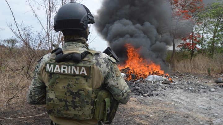 MARINA Y FGR INCINERAN MÁS DE MIL KILOGRAMOS DE MARIHUANA EN COLIMA, COLIMA