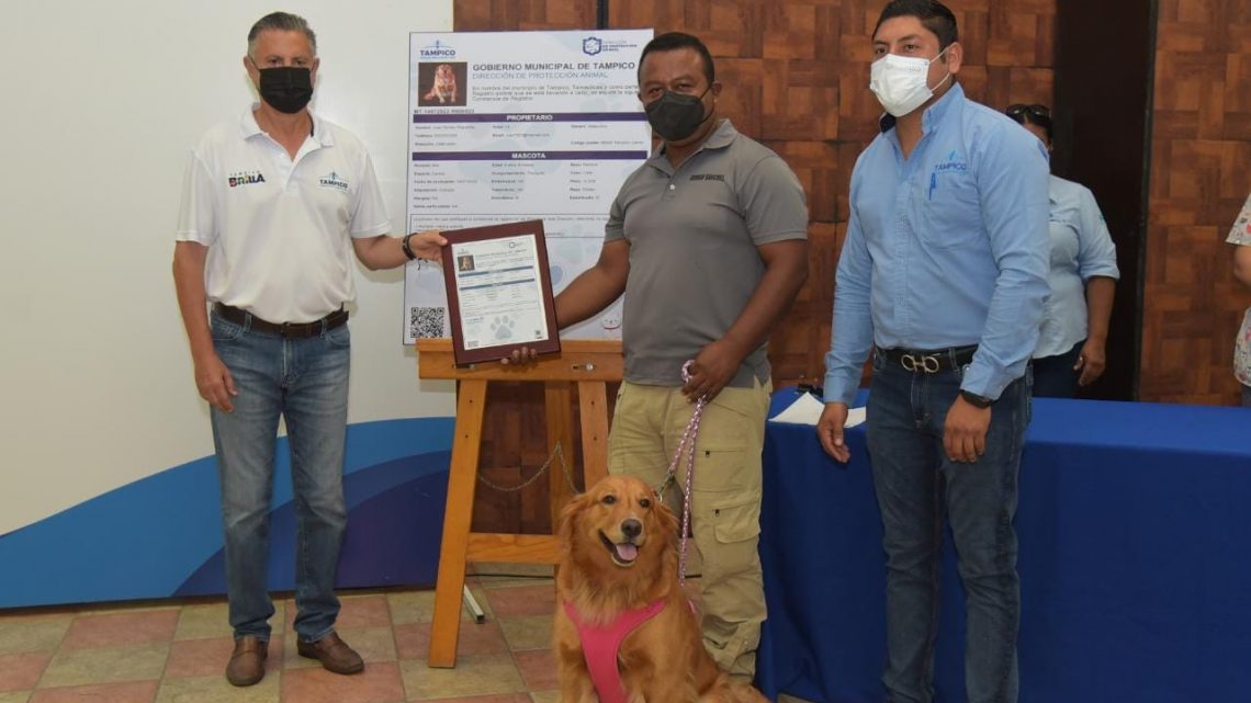 Pone en Marcha Chucho Nader Programa “Registro de Mascotas en Línea”