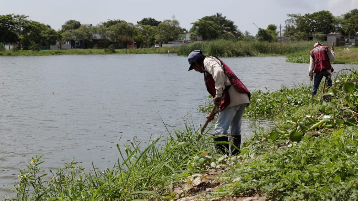 Permanentes los trabajos de limpieza en el sistema lagunario de Ciudad Madero