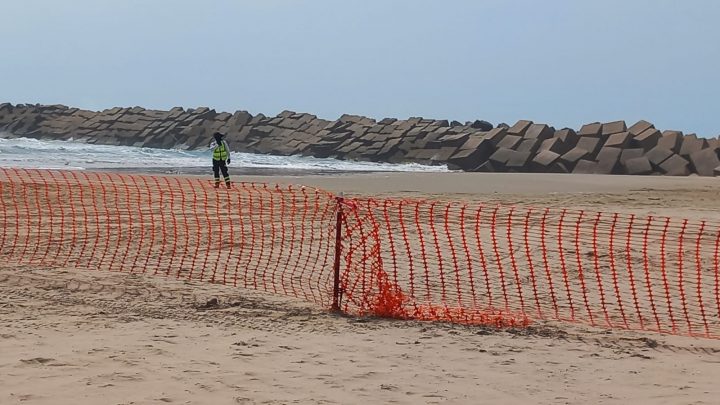 SALDO ROJO EN PLAYA TESORO