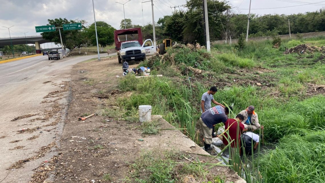 Arregla COMAPA Altamira fugas de agua en Monte Alto y El Edén