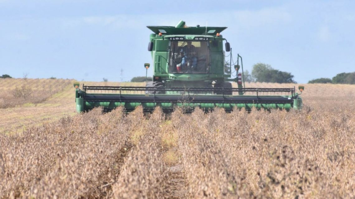 Arrancan siembras del ciclo agrícolaOtoño-Invierno 2022-2023