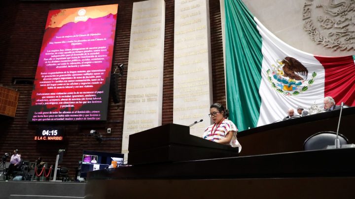 Pide hablante de lengua Mixteca visibilizar a las mujeres en los distintos escenarios