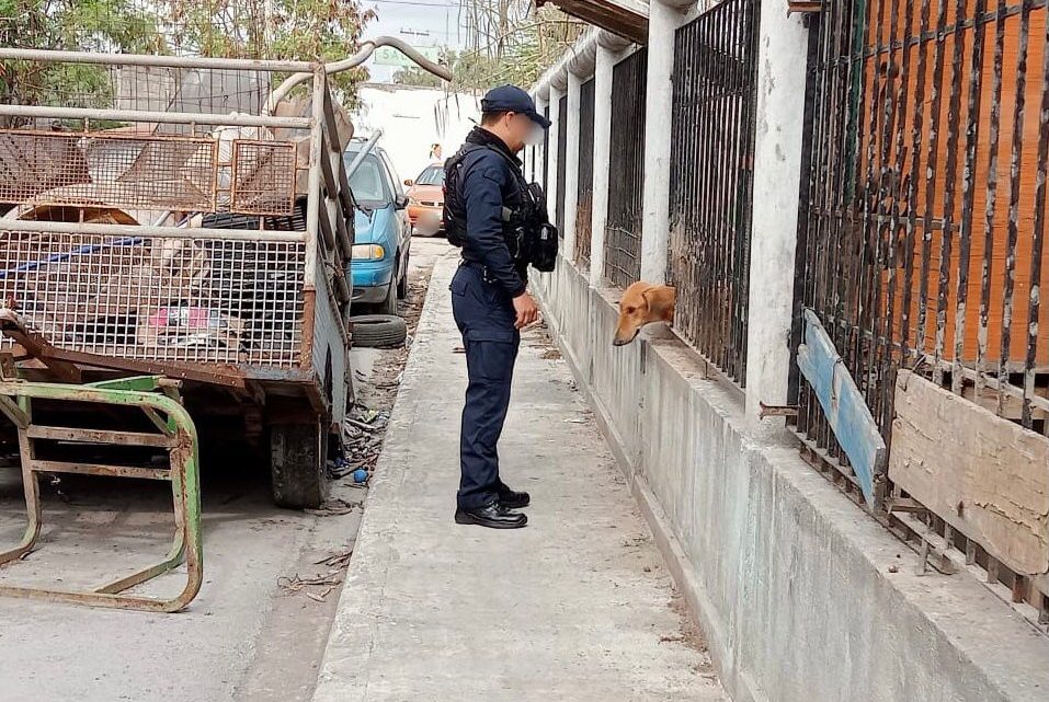 Atiende Guardia Estatal reporte de maltrato animal