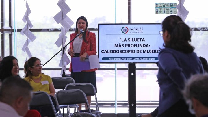 Realizan en la Cámara de Diputados el conversatorio “La silueta más profunda: caleidoscopio de mujeres”