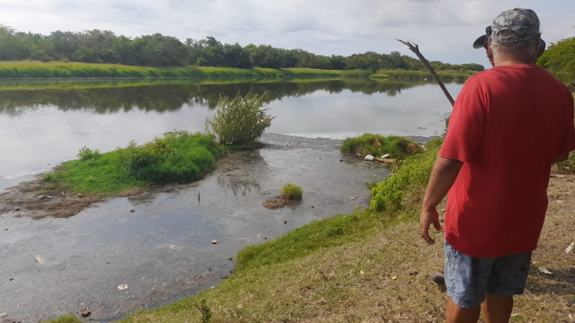 Se enferman vecinos de la Emiliano Zapata en Ciudad Madero por fuerte olor de laguna