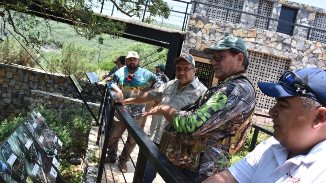 Impulsa Tamaulipas aviturismo