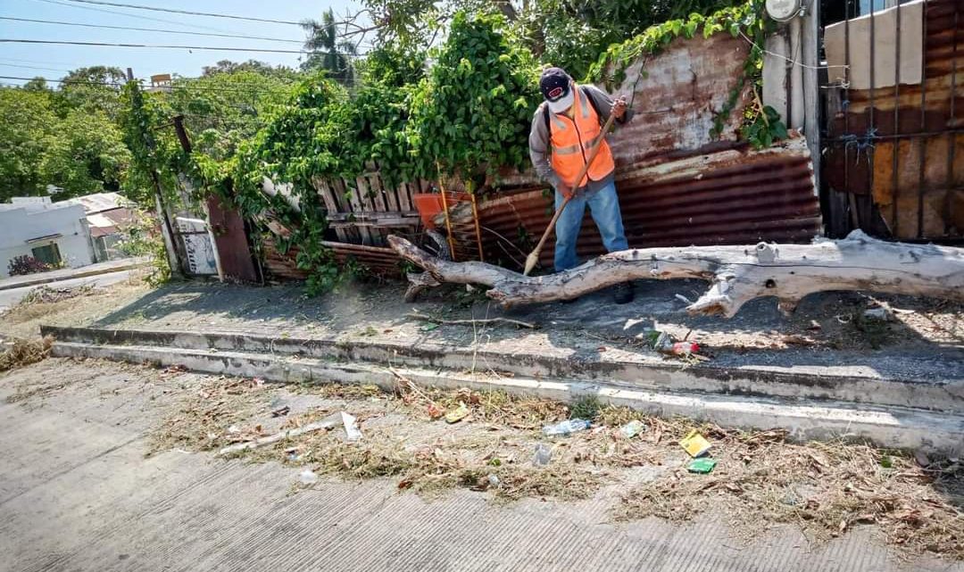 Atienden solicitudes de reposición de lamparas del alumbrado público y limpiar maleza