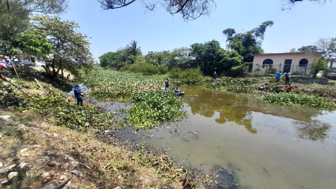 Piden malla metálica para Laguna Ilusión que evite salida de cocodrilos