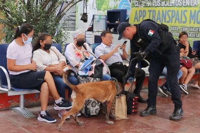 Ciudadanía respalda vigilancia de la Guardia Estatal en Central de Autobuses