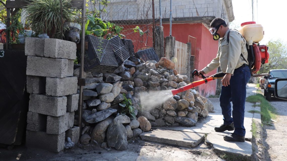 Exhorta Secretaría de Salud a la población a reforzar medidas de prevención contra el dengue