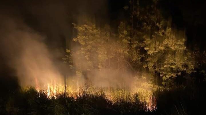 Voraz incendio de pastizal en Potrerillos