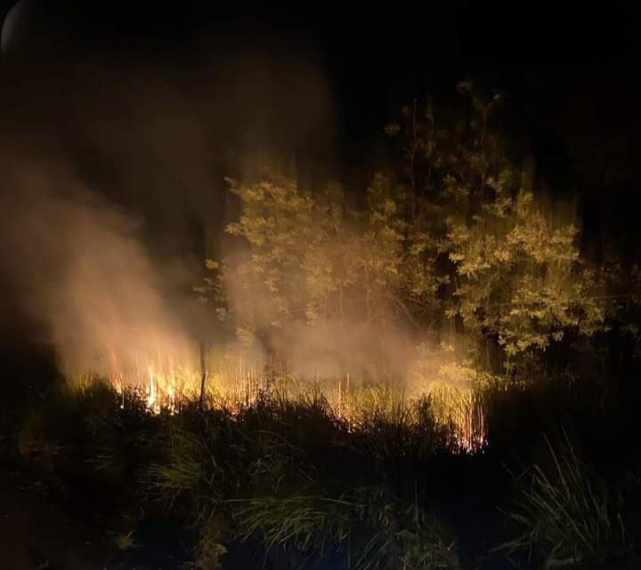 Voraz incendio de pastizal en Potrerillos