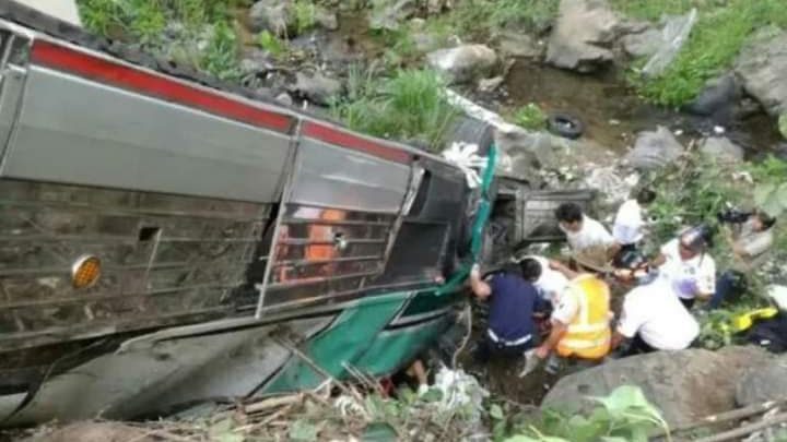 Cae autobús a barranco; mueren pasajeros, pero por picaduras de abejas