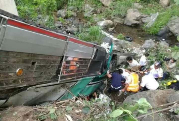 Cae autobús a barranco; mueren pasajeros, pero por picaduras de abejas