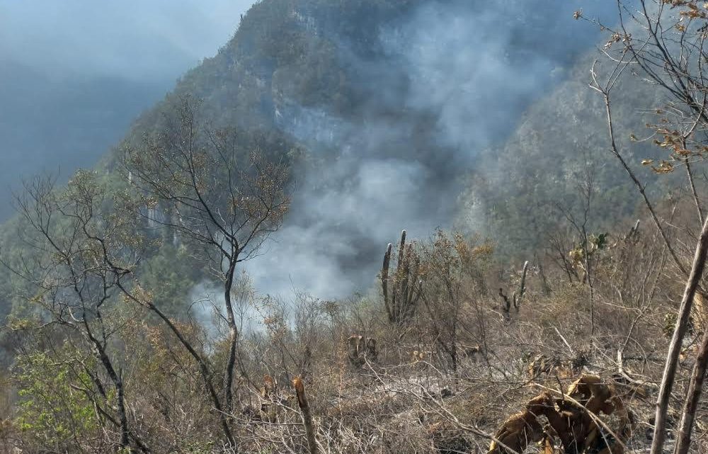 Continúa combate de incendios forestales