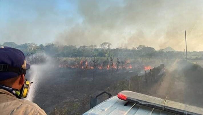 Incendio de pastizal causa pánico entre habitantes de Maravillas