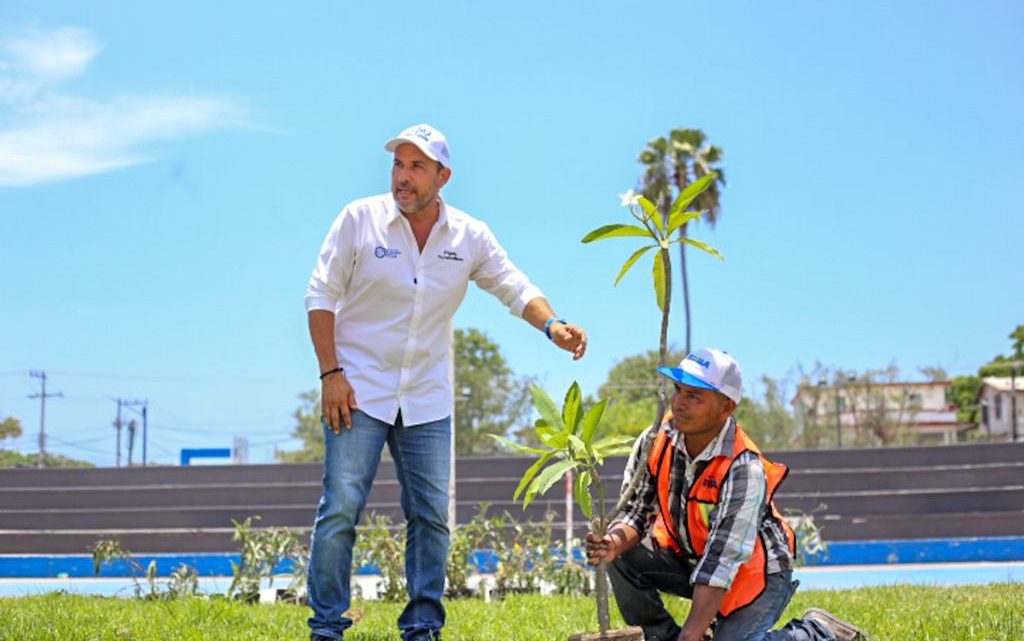 Encabeza Pepe Schekaibán Acciones de Reforestación en Espacios Públicos