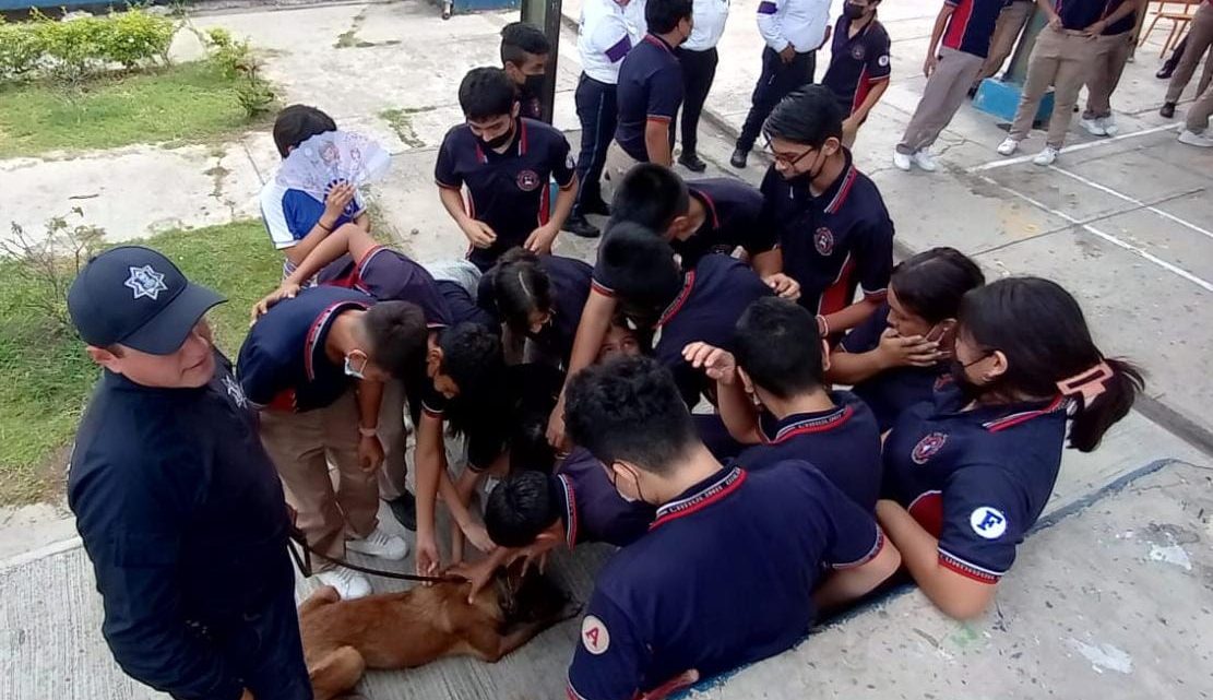 Binomio canino de la Guardia Estatal visita secundaria en Tampico