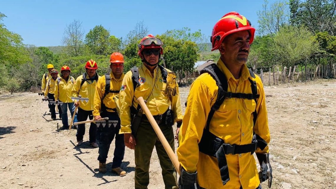 Atiende Protección Civil Tamaulipas dos incendios forestales en Jaumave