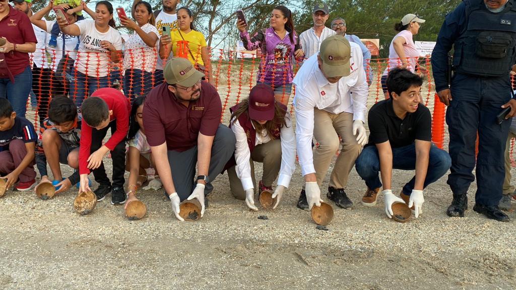 Inicia viaje tortuga lora desde Tamaulipas