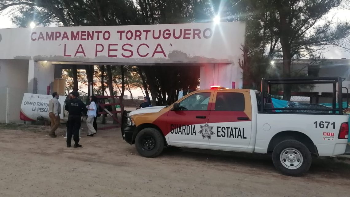 Guardia Estatal colabora en preservación de la tortuga lora