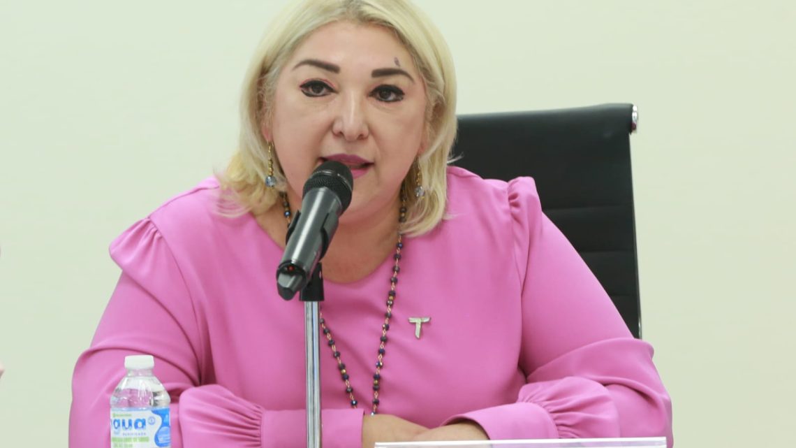 Llegan a Tamaulipas 710 MDP para pavimentación: Adriana Lozano