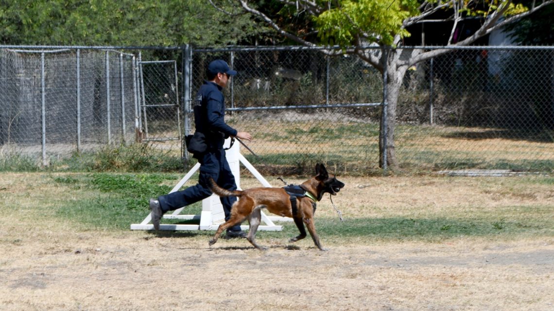 Cuenta Guardia Estatal con agentes caninos especializados