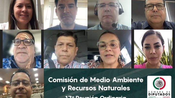 Comisión de Medio Ambiente realizará foros para construir la ley nacional en materia de bienestar animal