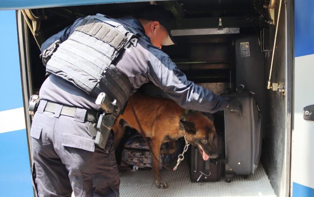 Binomios caninos de la Guardia Estatal redoblan vigilancia en Central de Autobuses