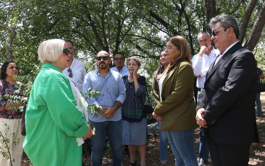 Rehabilita SEDUMA Vivero Anacahuita en Victoria