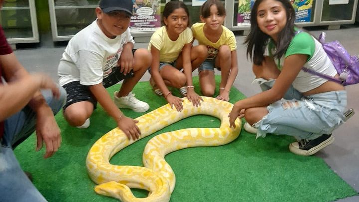 Expone Parque Ecológico de la Biósfera El Cielo especies de reptiles y anfibios a la población