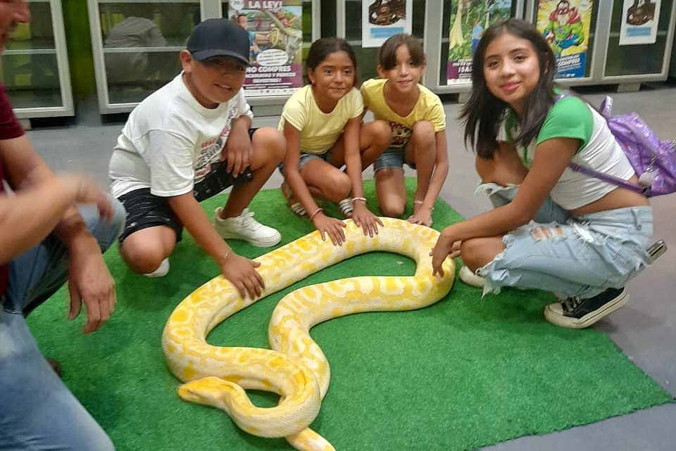 Expone Parque Ecológico de la Biósfera El Cielo especies de reptiles y anfibios a la población