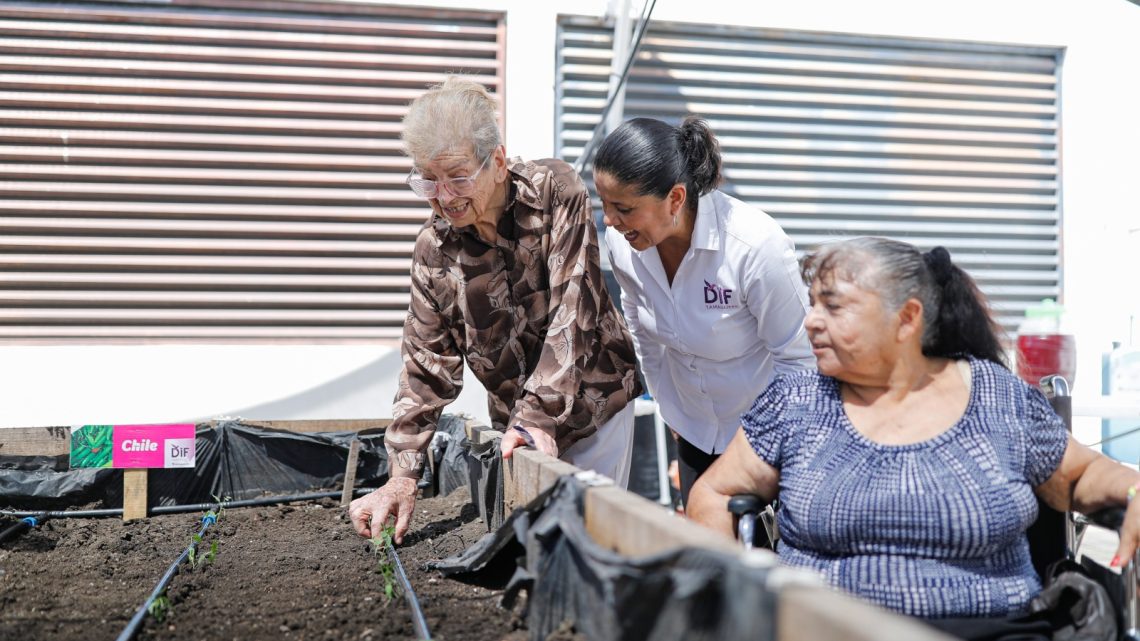 Rehabilita DIF Tamaulipas huerto comunitario en Casa Hogar del Adulto Mayor