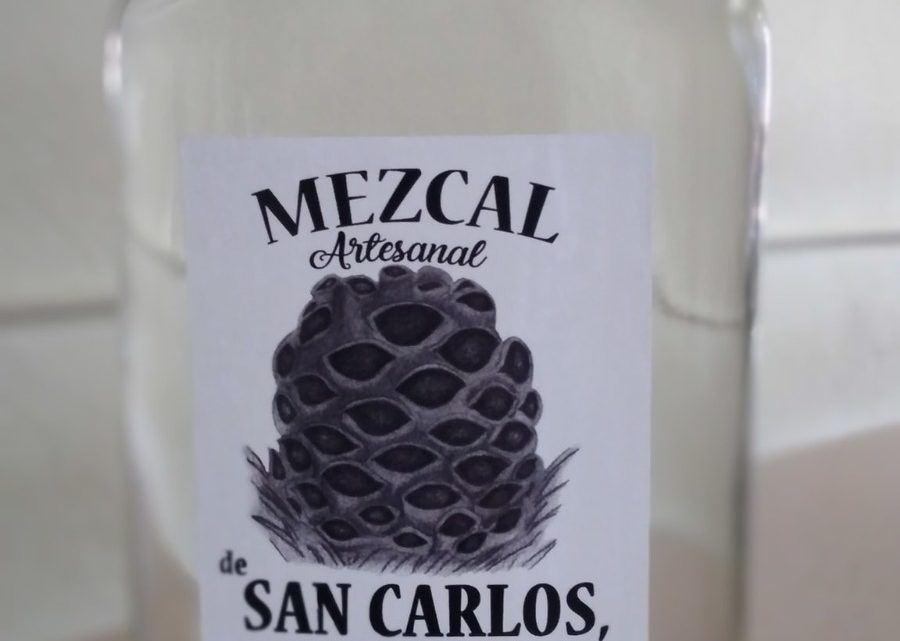 San Carlos municipio mezcalero de tradición y modernismo