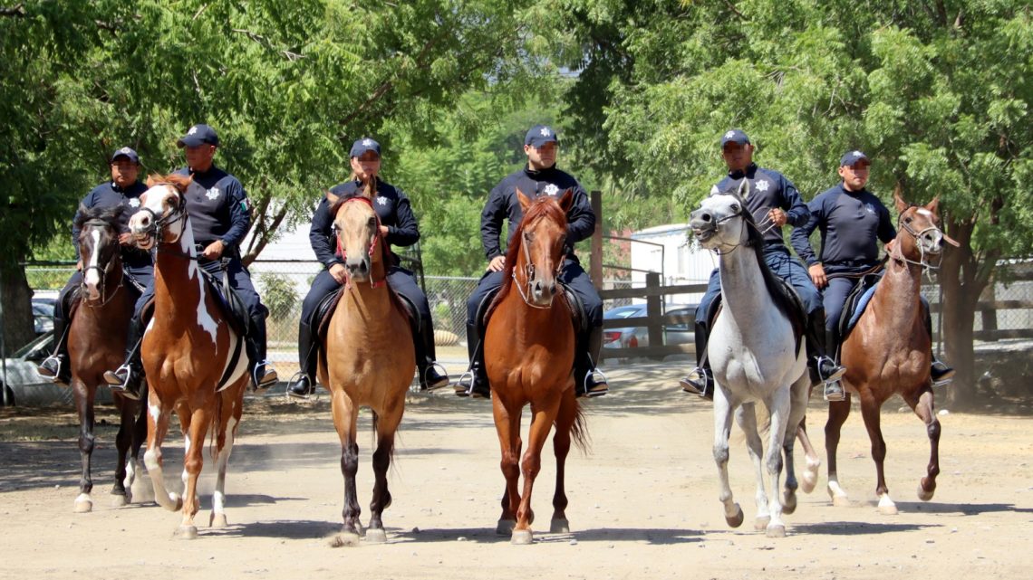 Jinetes de la Guardia Estatal preservan seguridad en áreas rurales y naturales