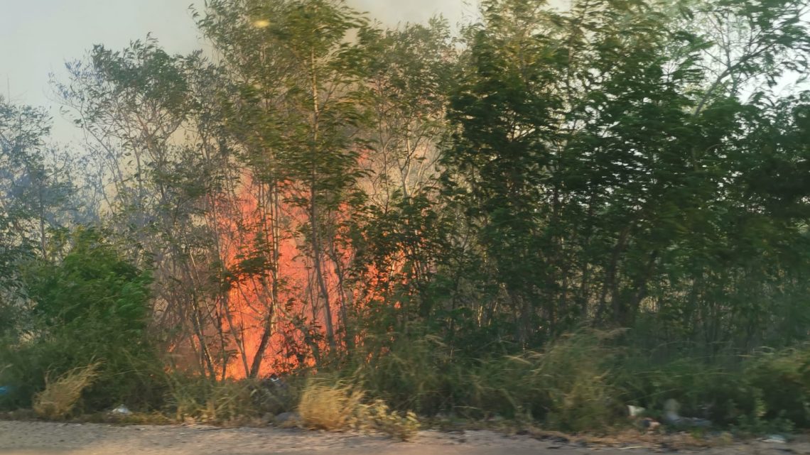 Exhortan a no provocar incendios de pastizal